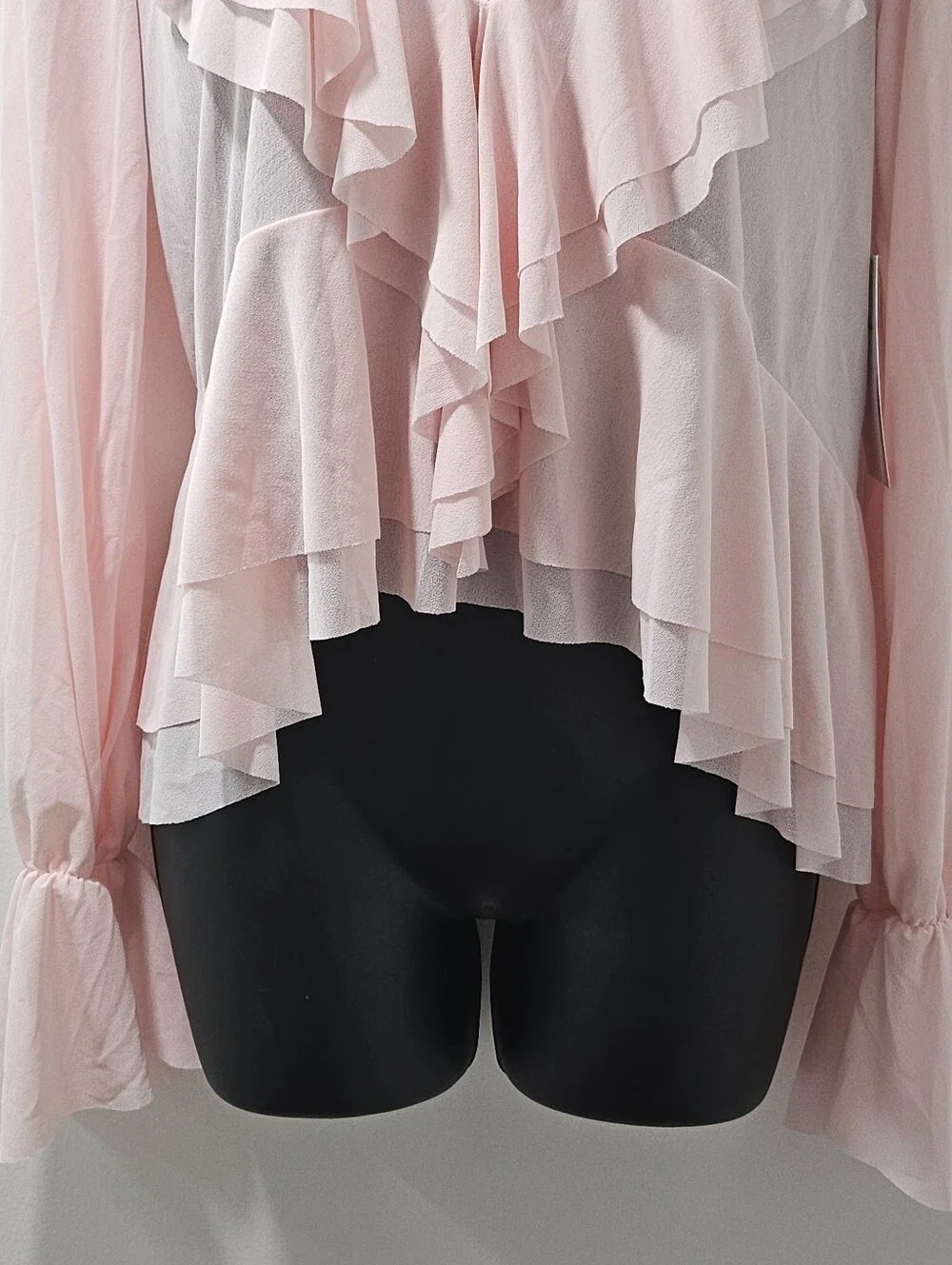 NWT Blenca Pink Ruffle Chiffon Sheer Top Bell Sleeve Coquette Medium